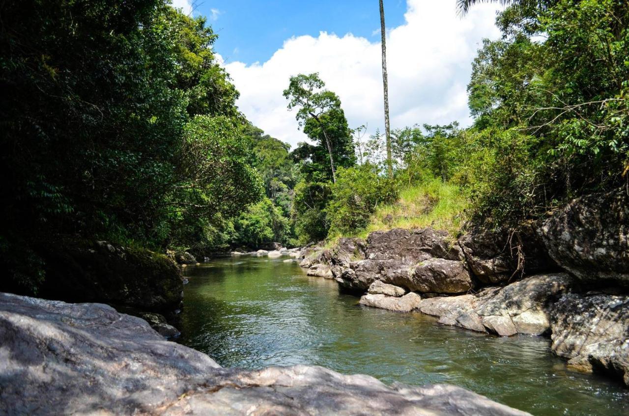 Sitio Flor Das Aguas لوميار المظهر الخارجي الصورة